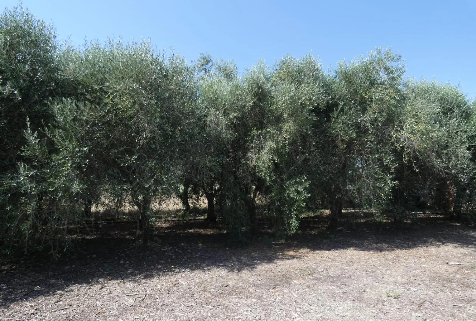 Il Podere Del Ponti Casa Paduletto Country house