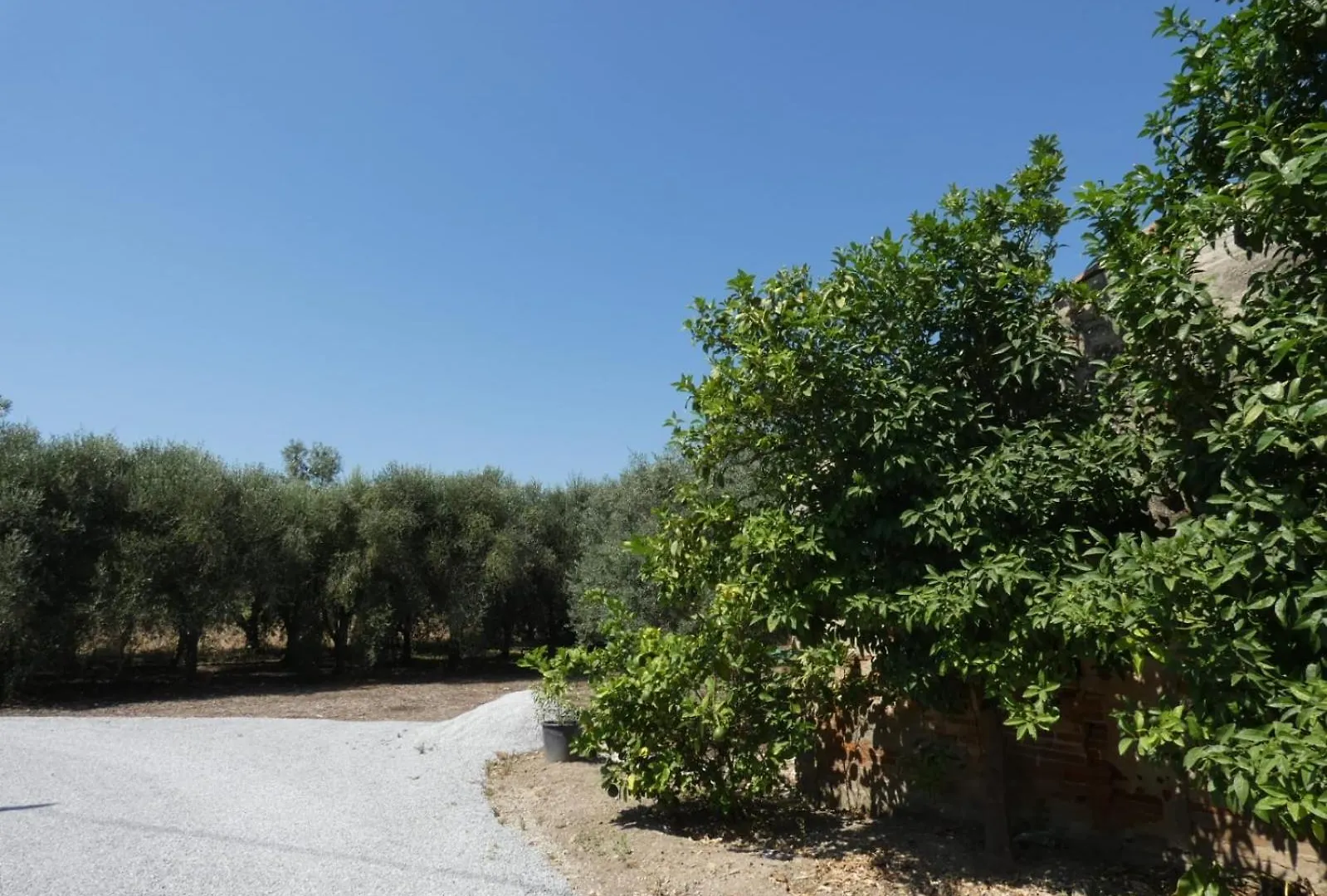 Country house Il Podere Del Ponti Casa Paduletto Italy